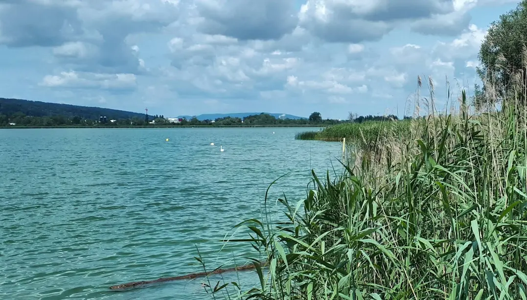 Greifensee
